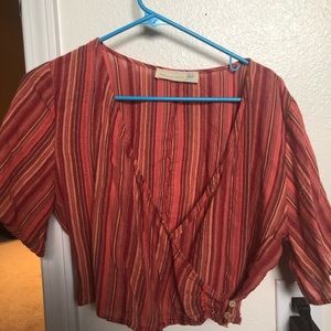 Lizard thicket crop top